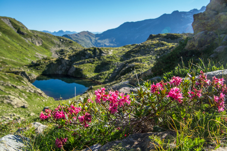 Cheserys, massif of Mont Blanc, Chamonix, Haute savoie, Franceの写真素材