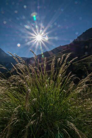 ornon,isere,franceの写真素材