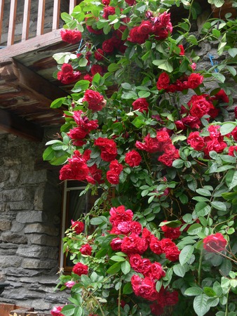 Bonneval, Savoy, Franceの写真素材
