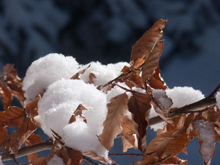 chalmazel,loire,franceの写真素材