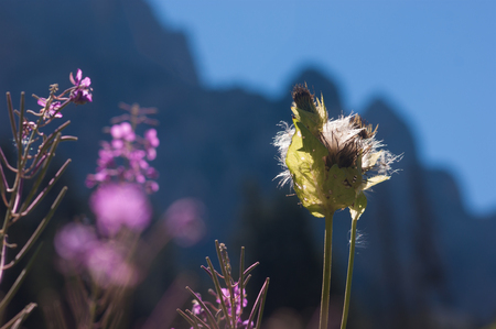 refuge de veran,sallanches,hautes savoie,franceの写真素材