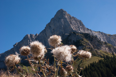 refuge de veran,sallanches,hautes savoie,franceの写真素材
