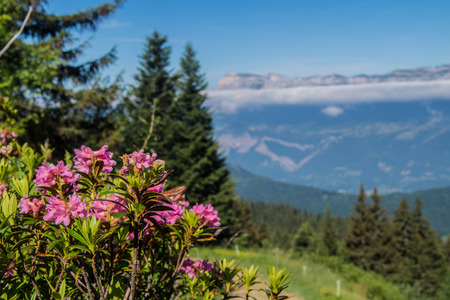 mountainous of chartreuse,isere,franceの写真素材