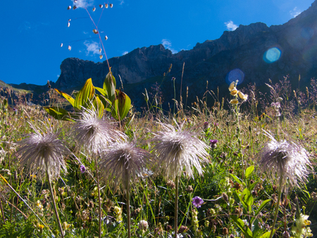refuge de plaisance,champagny,savoie,franceの写真素材