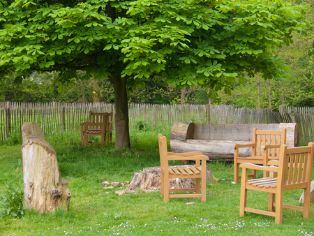 Wooden chairs in a botanical gardenの写真素材