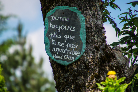 Artist's phrase in Margueriteの写真素材