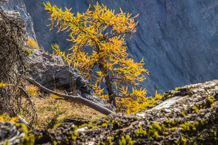 pass of lien in valais in swissの写真素材
