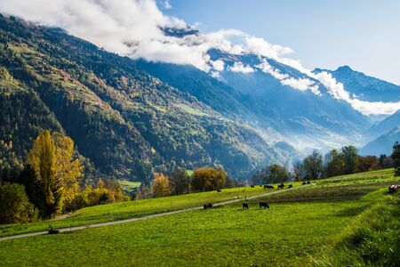 brusson in valais in swissの写真素材