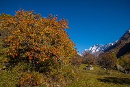 blatten in loschental in swissの写真素材