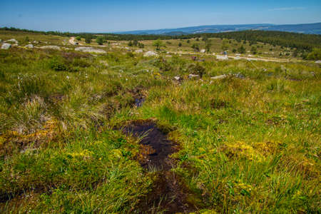 mont lozere in lozere in franceの写真素材