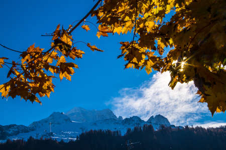 argentiere in chamonix in haute savoie in france