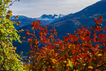 chermignon from below in valais in swissの写真素材