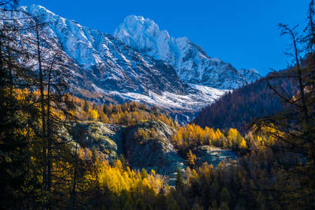 argentiere in chamonix in haute savoie in franceの写真素材
