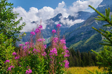 les diablerets in lake of retaud in valais in swissの写真素材