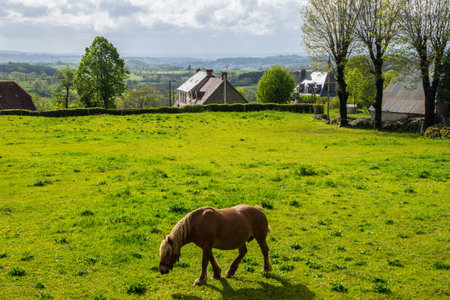 saint bonnet de salers in cantal in franceの写真素材