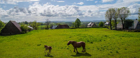 saint bonnet de salers in cantal in franceの写真素材