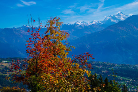 anzere in les grillesses in valais in swiss