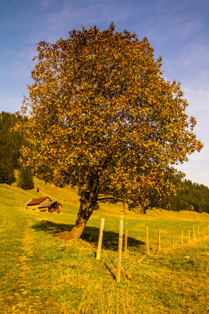 pass of mosses in vaud in switzerlandの写真素材