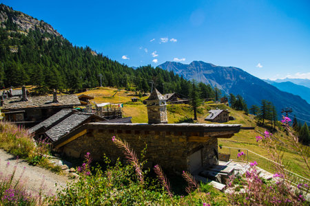 View of the Dolomites in summer, Veneto, Italyの写真素材