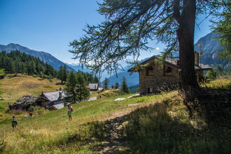 Mountain landscape in the Dolomites (Italy) at summerの写真素材