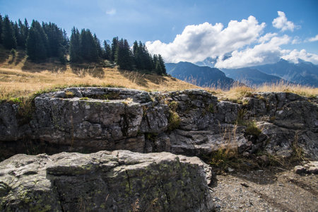 Mountain landscape with rocks and forest at the foot of the mountainの写真素材