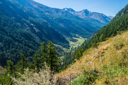 Mountain landscape with coniferous forest and valley in the foregroundの写真素材