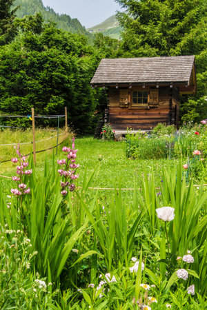 Old wooden house in the mountain meadow with flowers and grass.の写真素材