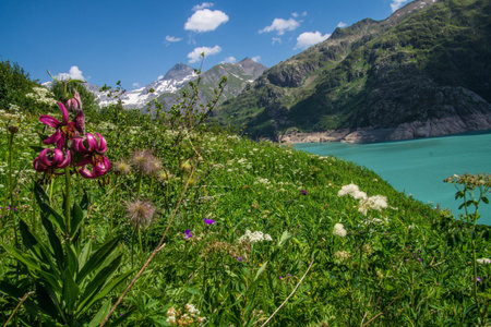Beautiful alpine landscape with lake and mountains in background, Switzerlandの写真素材