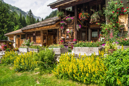 Traditional wooden houses and flowers in Zermatt, Switzerlandの写真素材