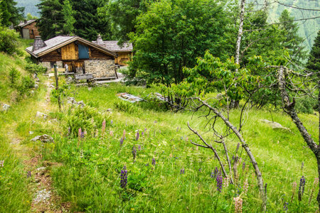 Wooden house in the mountains. Beautiful summer landscape in the mountains.の写真素材