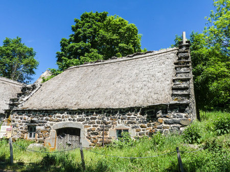 Old stone house with a thatched roof in the village of Viscri, Croatiaの写真素材