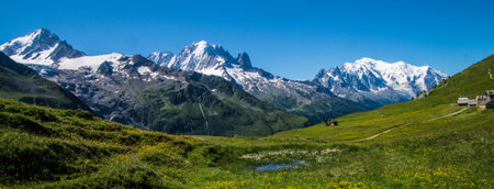 Panoramic view of the mountains in the Swiss Alps in summerの写真素材