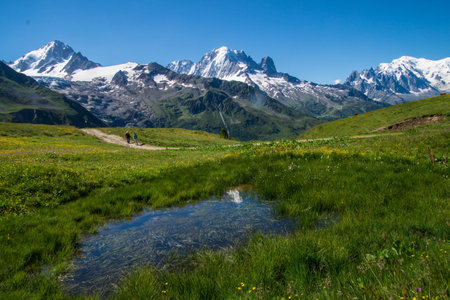 Alpine meadow in front of Matterhorn mountain range, Switzerlandの写真素材