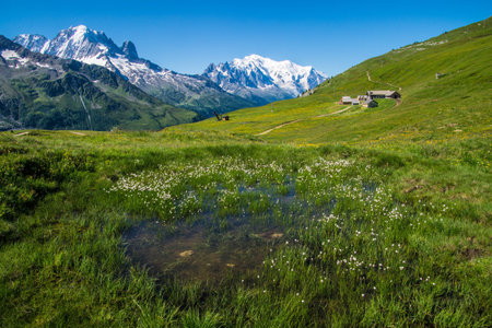 charamillon in chamonix in haute savoie in franceの写真素材