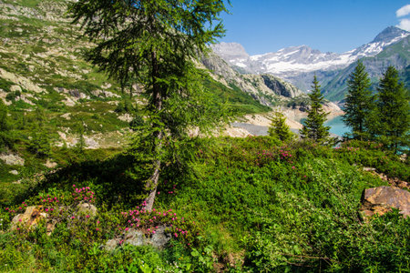 Mountain landscape with alpine meadows, forest and lake.の写真素材