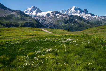 Mountain landscape with meadow and snow-capped peaks in the backgroundの写真素材