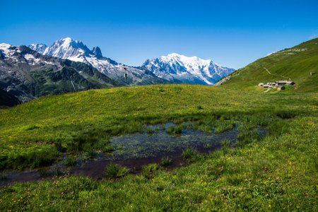 Alpine meadow with fresh green grass and snow-capped mountains in backgroundの写真素材