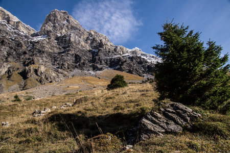 anzeide in gryon in vaud,swissの写真素材