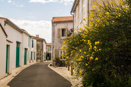 ars en re in charente maritime in franceの写真素材