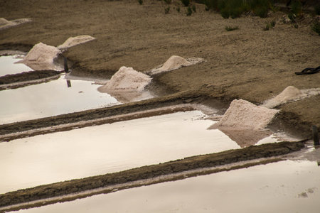 salt marshes in charente maritime in franceの写真素材