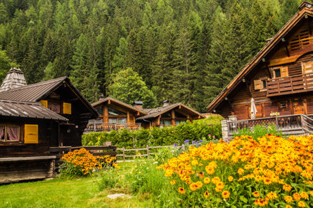 argentiere in chamonix in hautes savoie in franceの写真素材