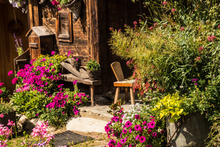 trelechamp in chamonix in haute savoie in franceの写真素材