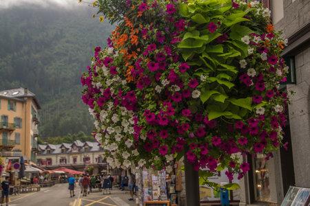 chamonix in haute savoie in franceの写真素材