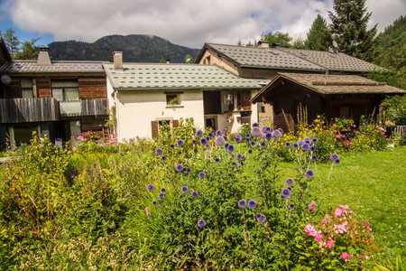 the tour in chamonix in haute savoie in franceの写真素材