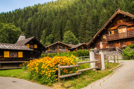 argentiere in chamonix in hautes savoie in france