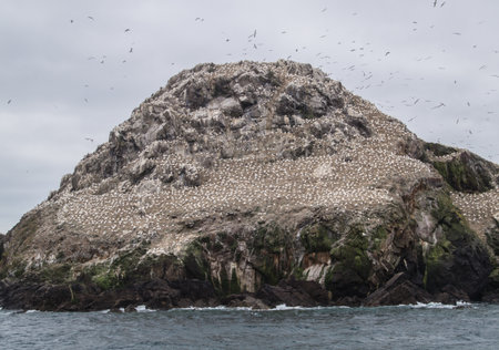 the seven islands is cote d'amor is franceの写真素材