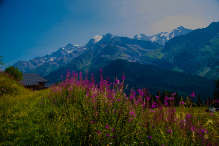 Roselette, Comtamines Montjoie, Haute Savoie