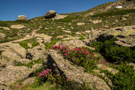 Nevache, Hautes-Alpes, Franceの写真素材