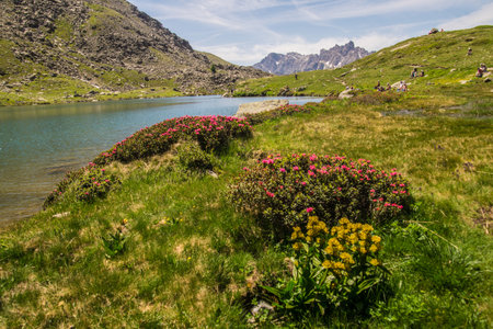 Lake Serpent, Nevache, Hautes-Alpes, France
