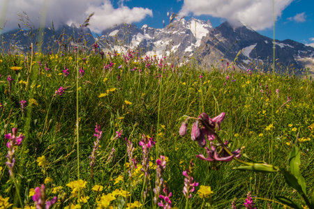 Pass of Lautaret, Hautes Alpes, Franceの写真素材